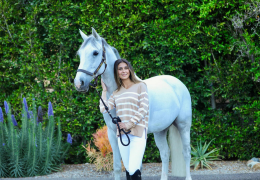 Harcour - Tout pour le cheval (3)