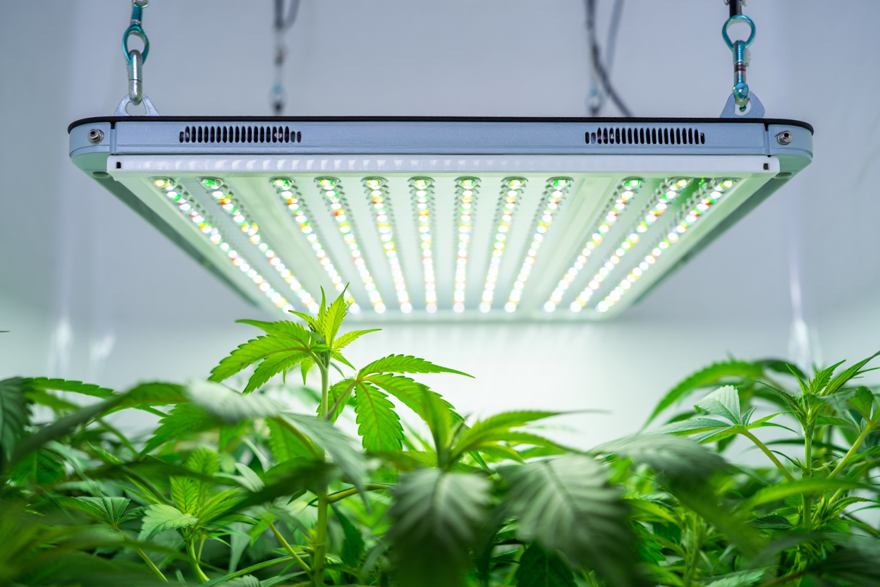 Lampe LED horticole professionnelle