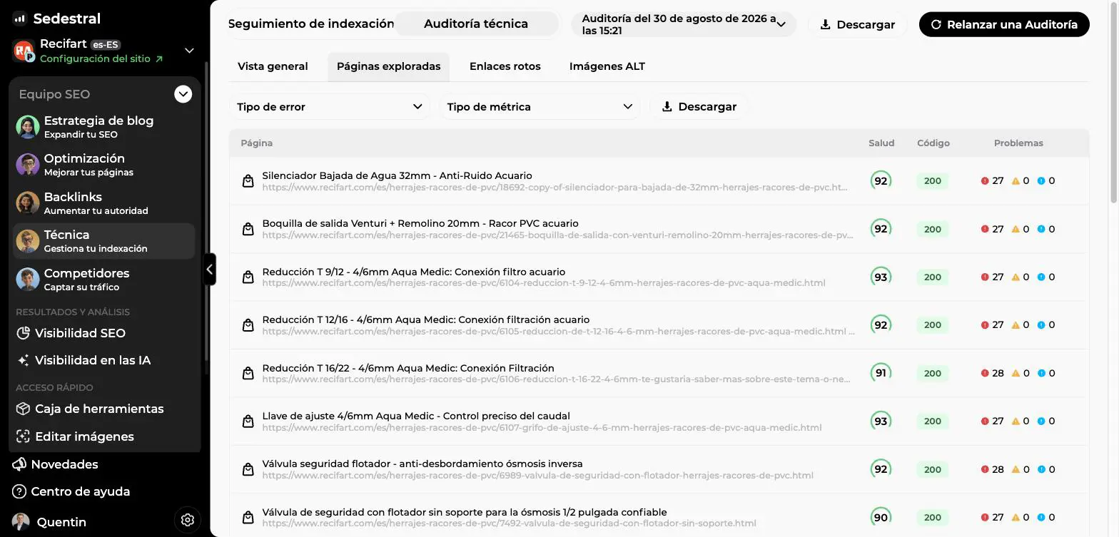 Pestaña Páginas exploradas de la auditoría técnica con filtros, puntuación de salud por página, código HTTP y contadores de problemas
