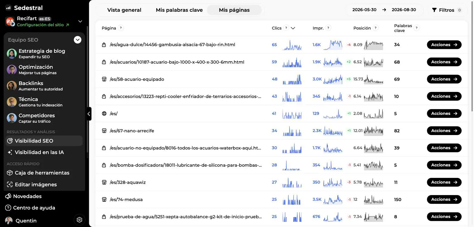 Pestaña Mis páginas de Visibilidad SEO con los clics, impresiones, posición y número de palabras clave por página