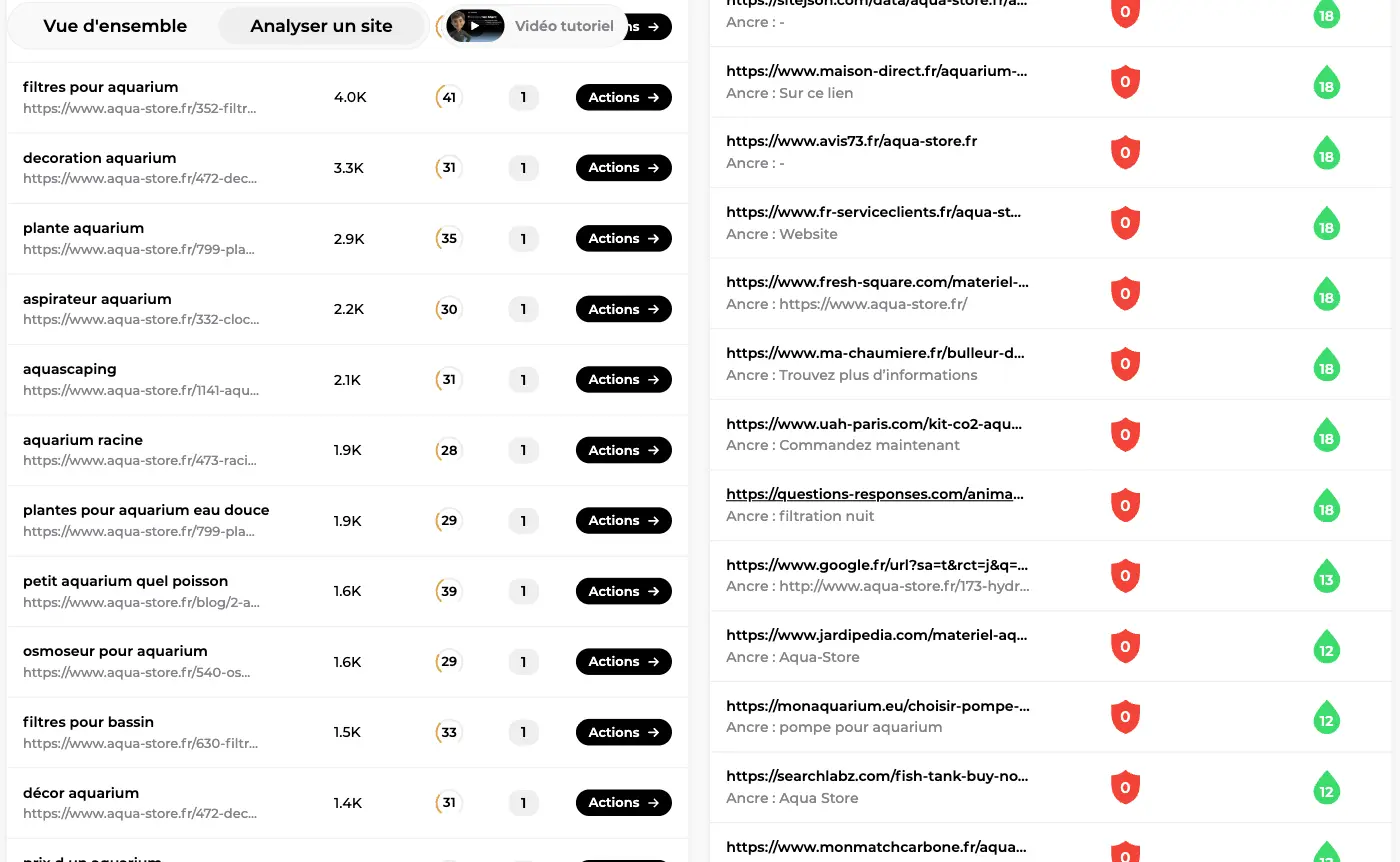 Tableaux Top mots-clés positionnés et Backlinks entrants d'un site analysé dans Sedestral, avec volume, difficulté, ancres et jus