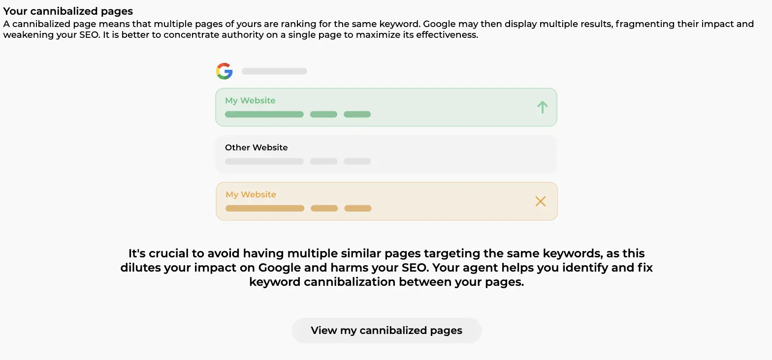 Cannibalization tab explaining that several pages ranking for the same keyword weaken SEO, with a View my cannibalized pages button