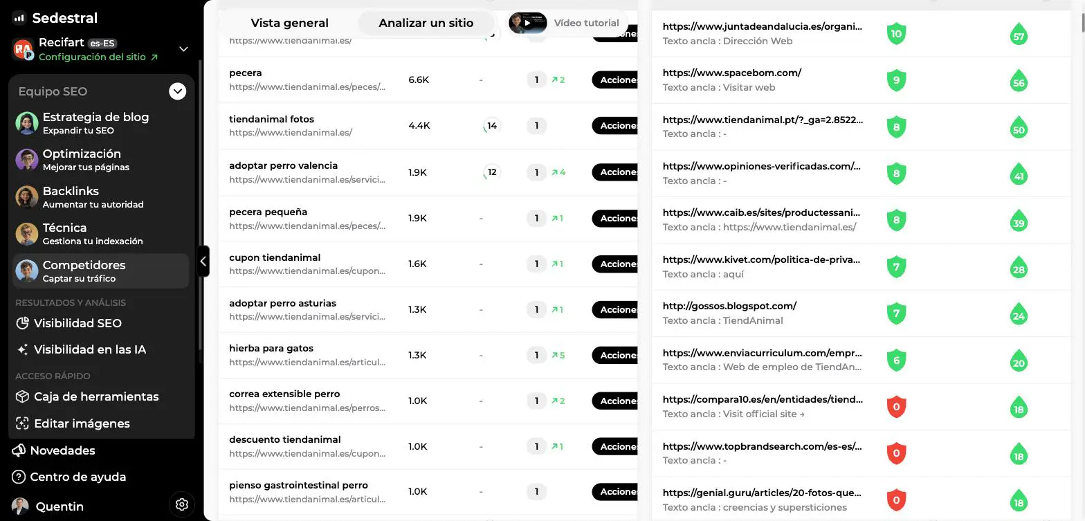 Tablas Mejores palabras clave posicionadas y Backlinks entrantes de un sitio analizado en Sedestral, con volumen, KD, textos ancla y link juice