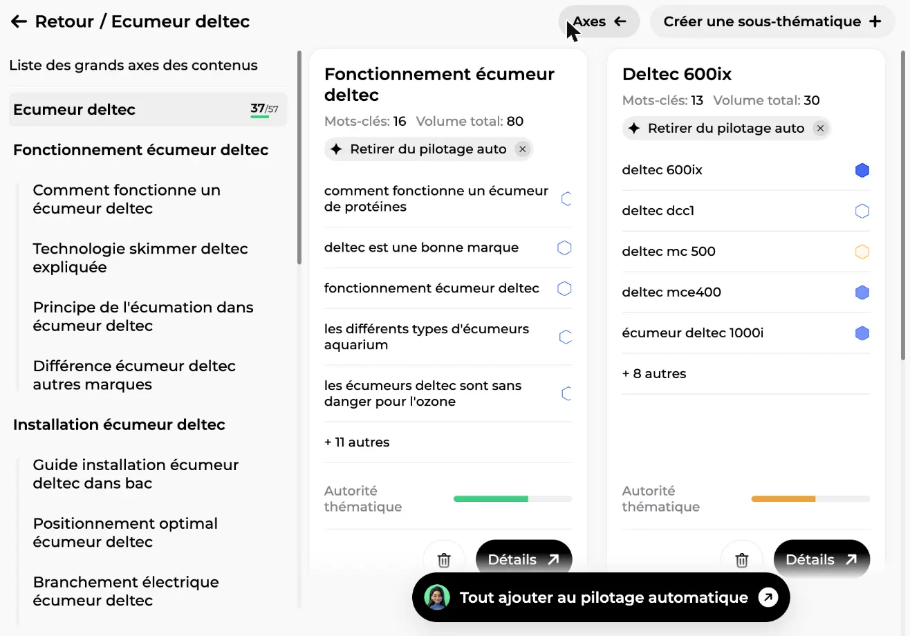 Panneau Axes affichant la carte de la thématique en arborescence, à côté des clusters filtrés