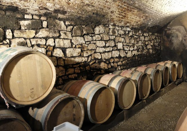 Cave humide avec des barriques en bois alignées contre un mur en pierres, utilisées pour le vieillissement du vin, ambiance sombre. Différence vin bio et vin nature.