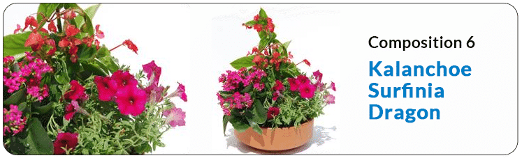 Nettoyer tombe : En sa Mémoire, fleuraison tombe et entretien tombe - tarifs