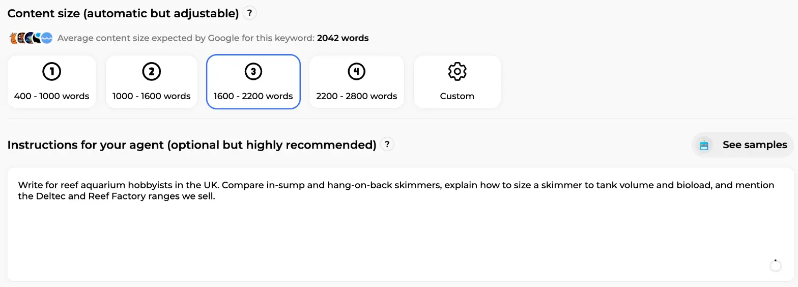 Free-text instruction field for the agent, filled with a brief about audience, comparison and product ranges
