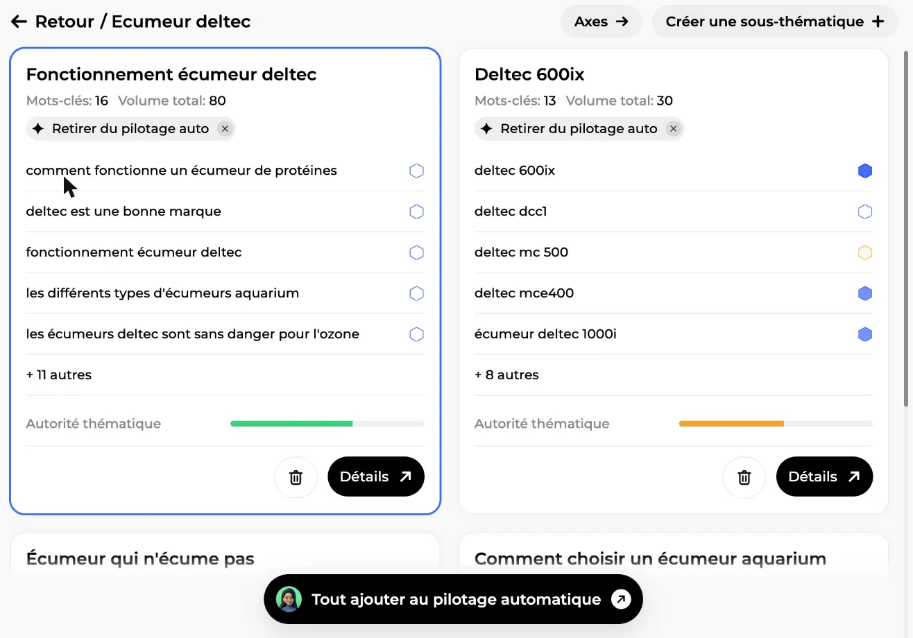 Vue des clusters d’une thématique : cartes avec mots-clés, volume total et barre d’autorité thématique