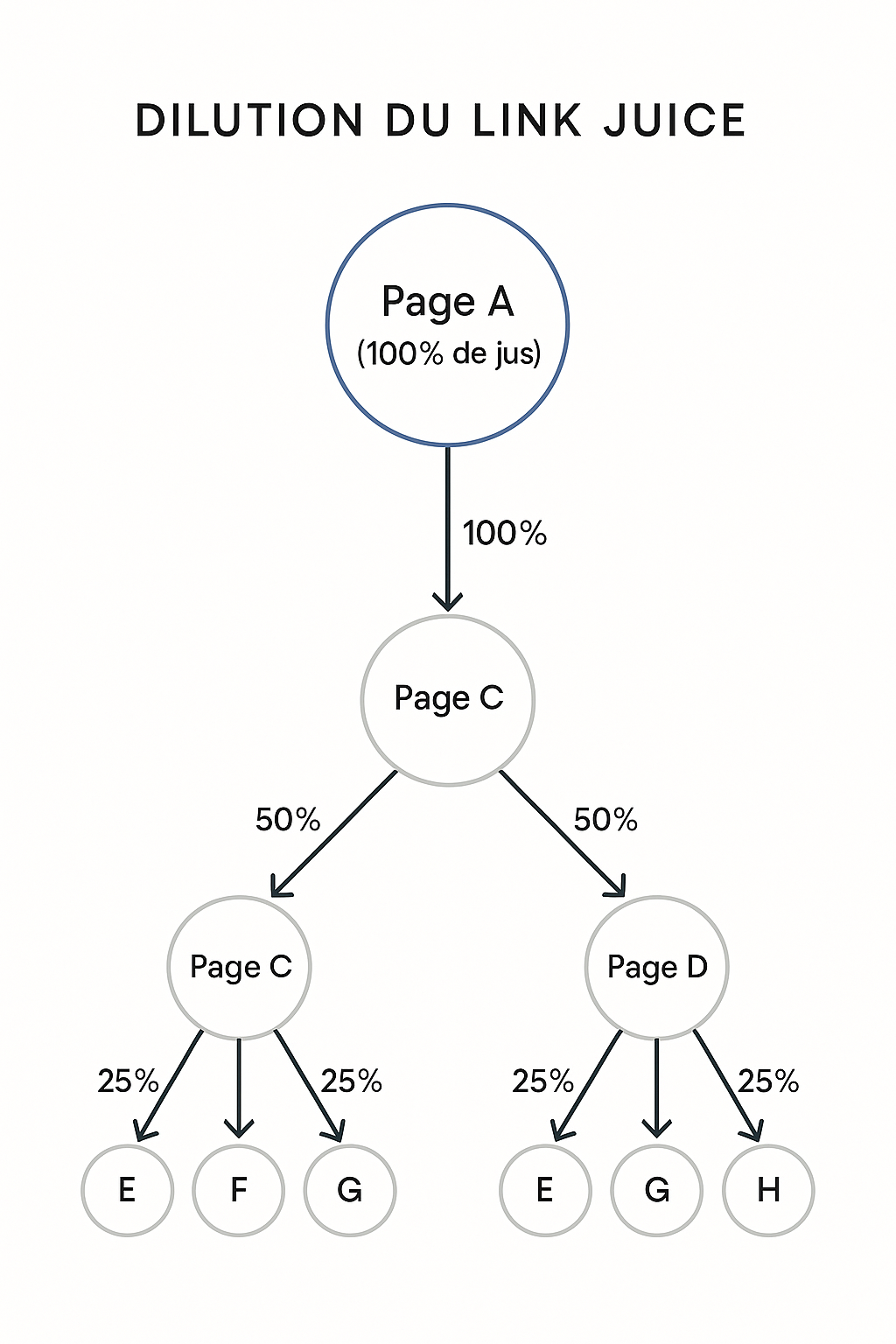Schéma illustrant la dilution du jus SEO : une page transmet 100% de son jus avec un seul lien, 50% avec deux liens, et 25% avec quatre liens.