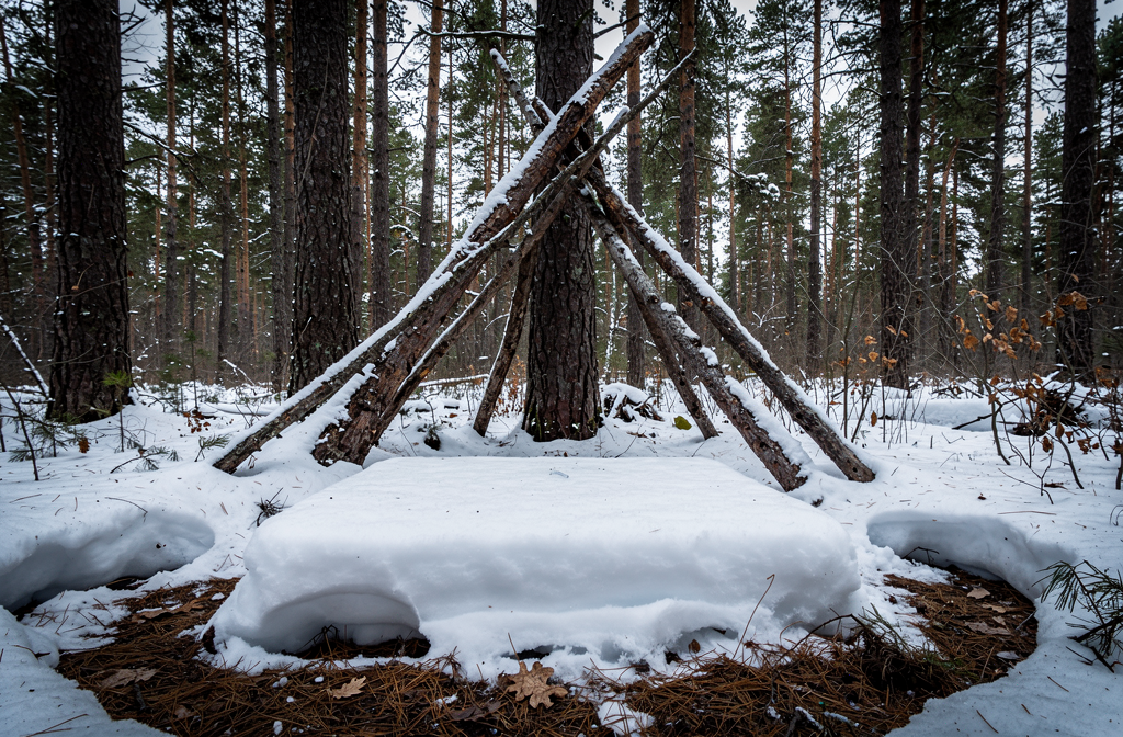 Plateforme de neige compactée en forêt hivernale