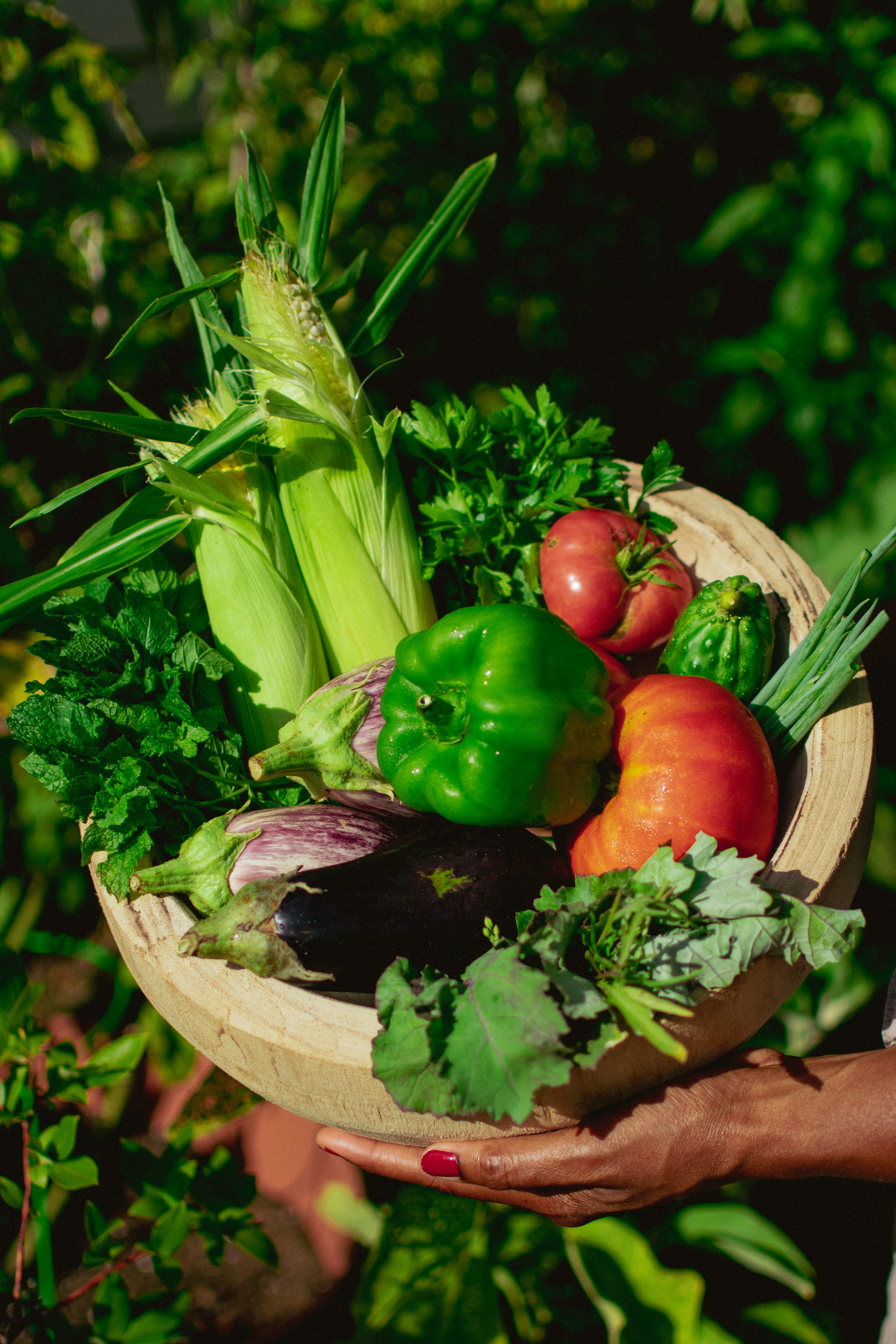 Panier de légumes frais et colorés, symbolisant les produits alimentaires issus des plantes, prêt à être consommés.
