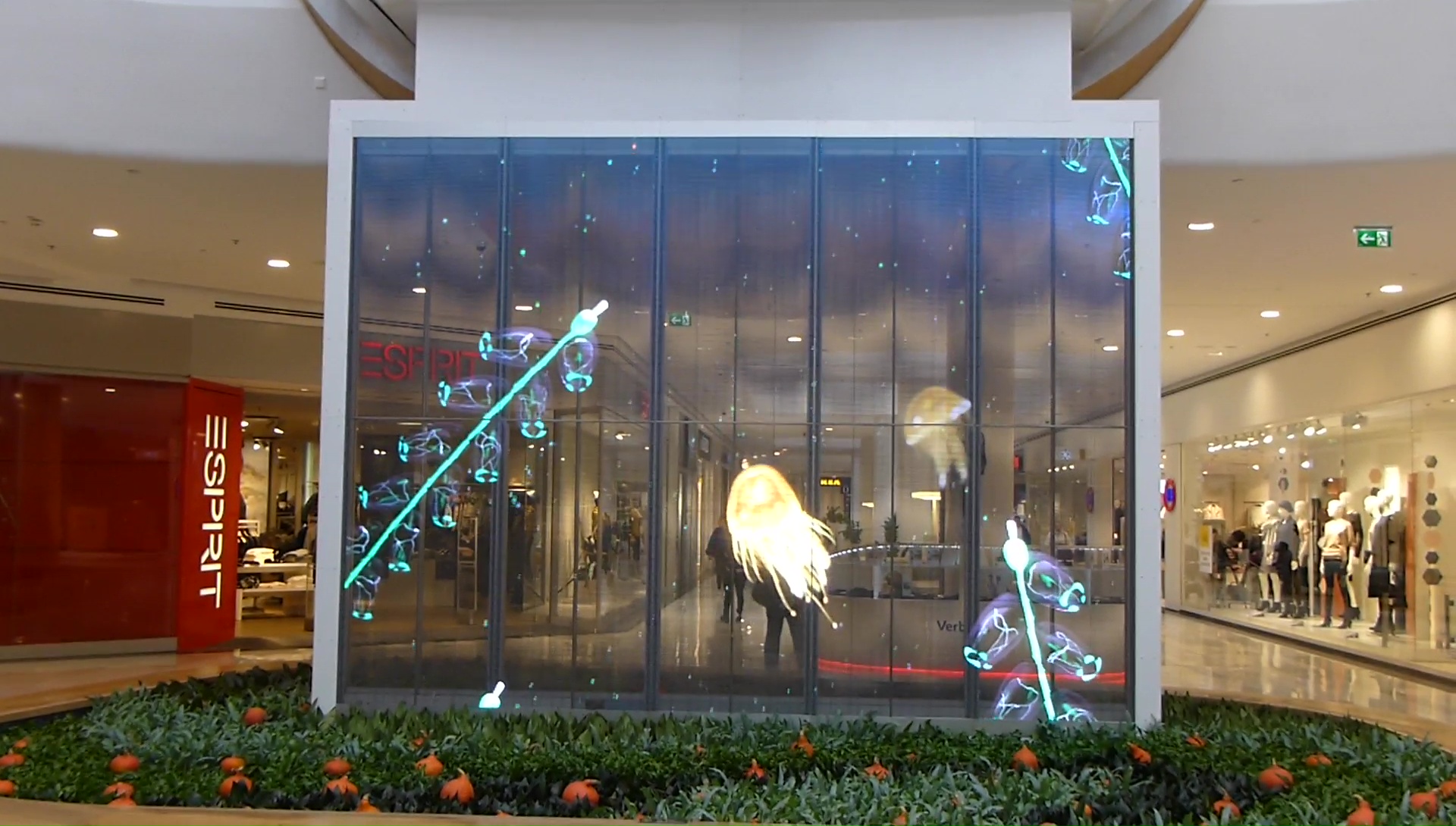 Découvrez la beauté des fonds marins dans cet écran LED double-face transparent !