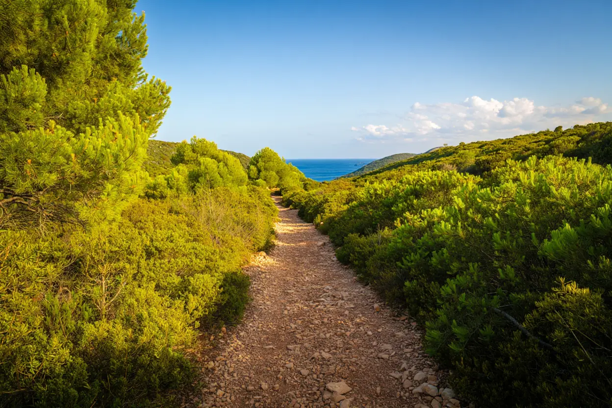 Sentier de randonnée minorquais au printemps avec fleurs sauvages